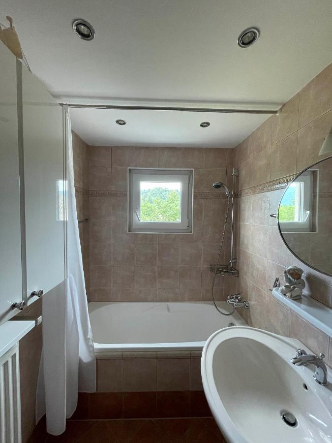 Apartmaji Iva 布莱德 外观 照片